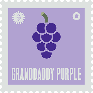Grandday Purple