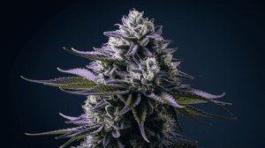 Cooking with Lemon Kush: Edible Recipes and Dosing Guide